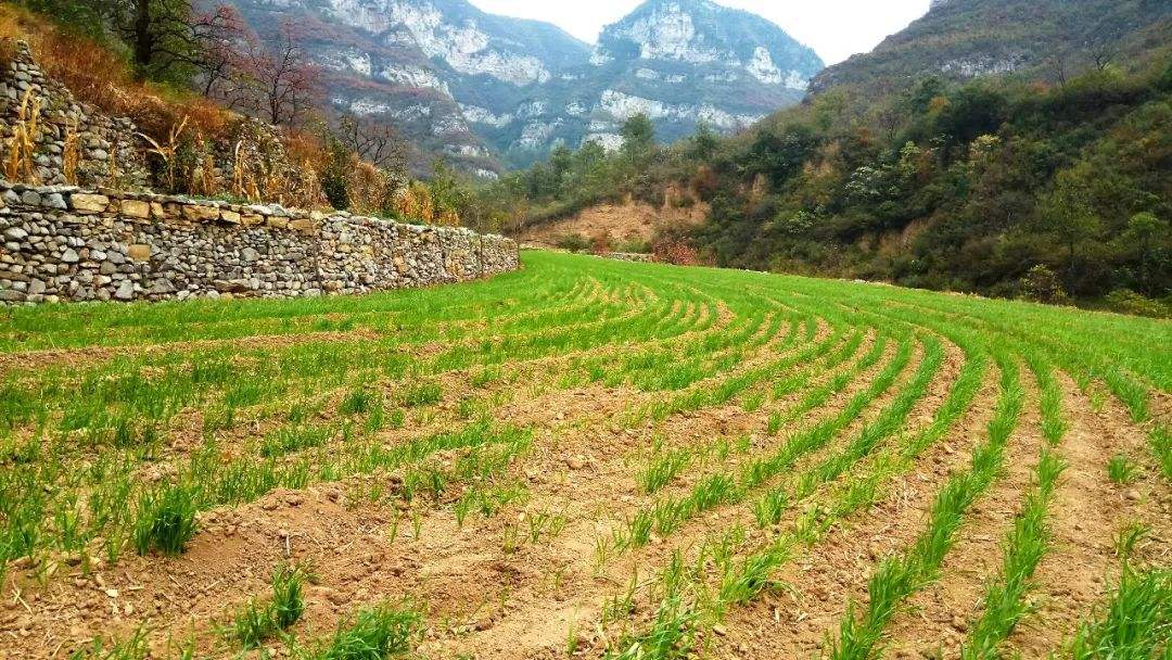 土壤水分測(cè)定儀